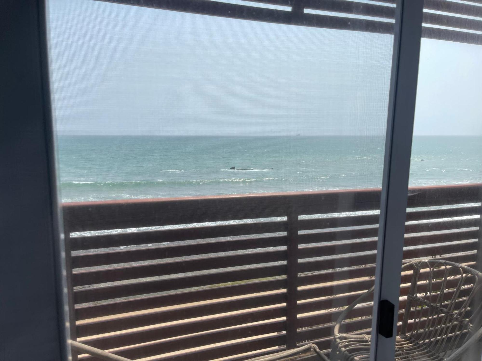 Ocean Green Beach Resorts And Villas Prampram Luaran gambar
